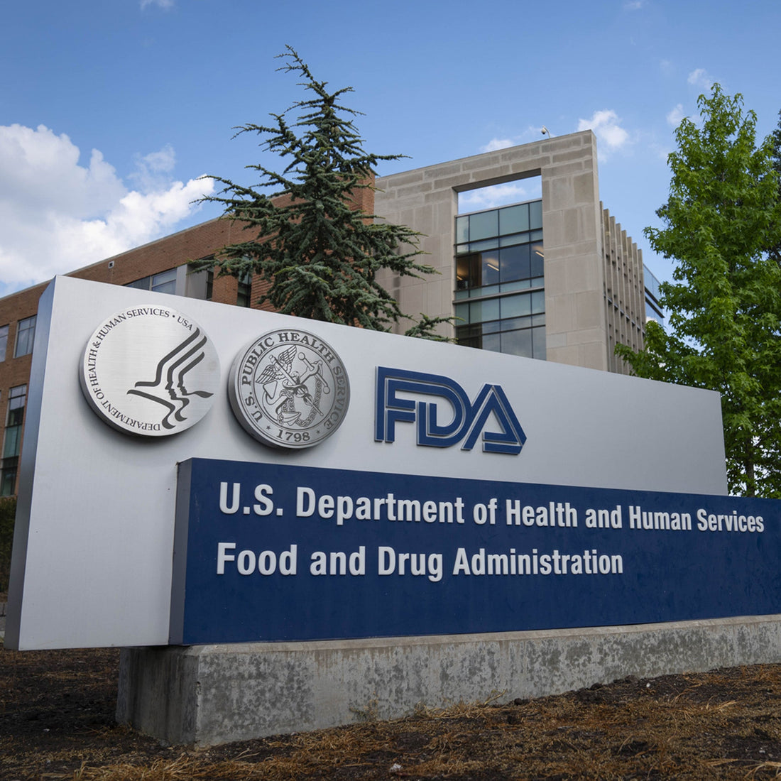 Zyn's FDA Approval & Andrew Huberman's Take