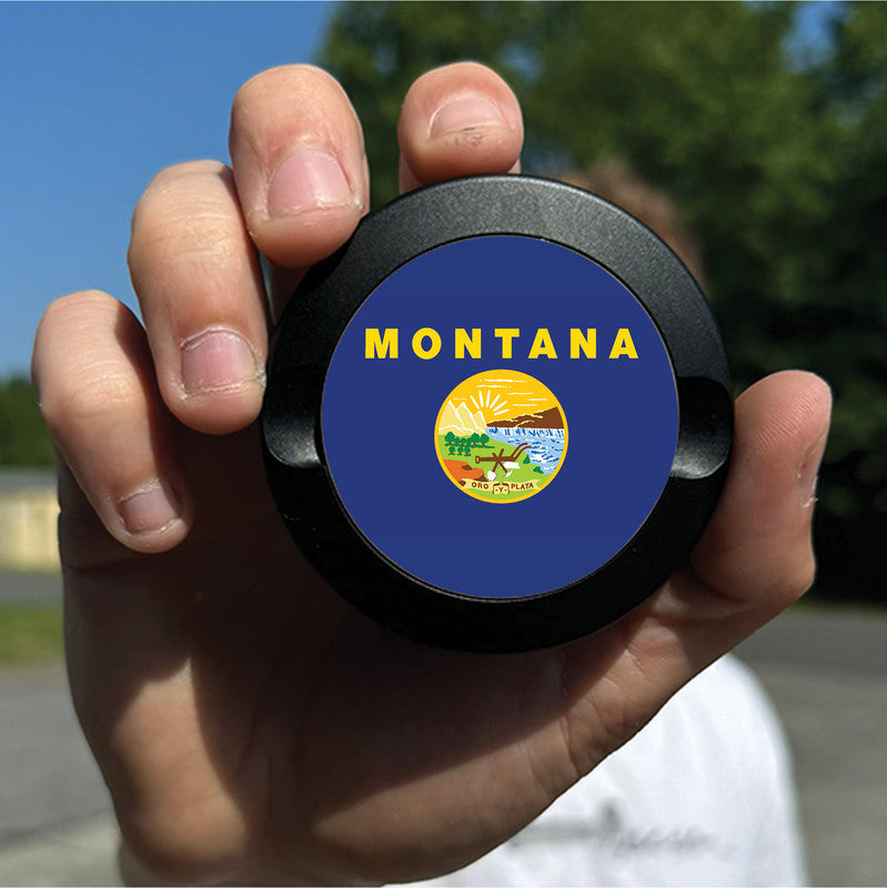 Montana State Flag
