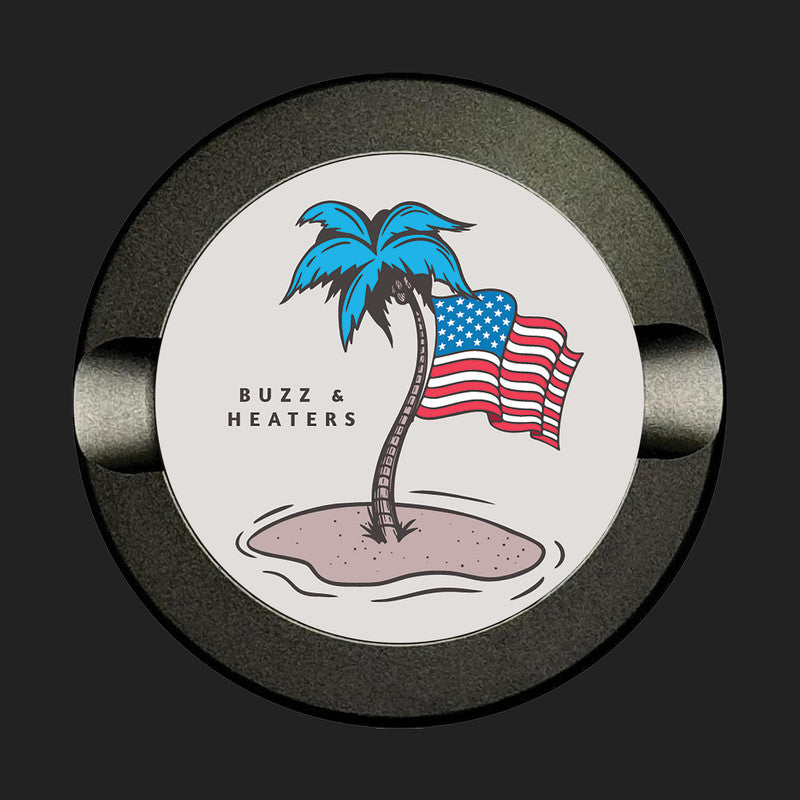 American Flag And Palm Tree