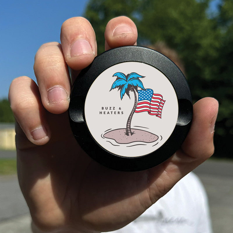 American Flag And Palm Tree