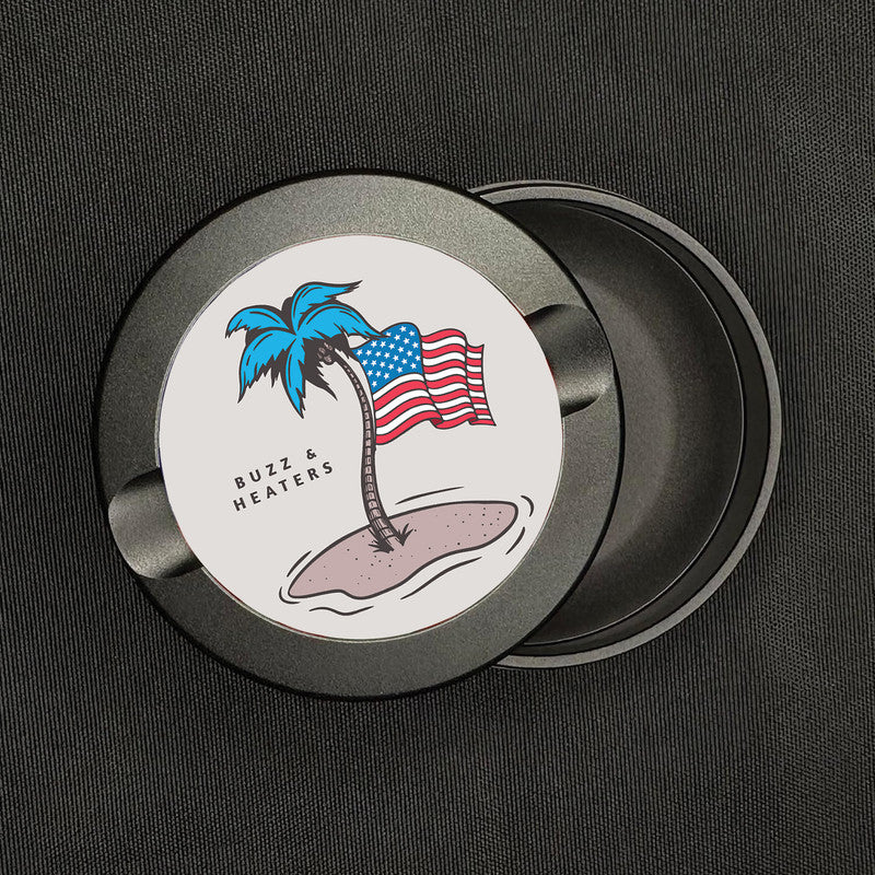 American Flag And Palm Tree