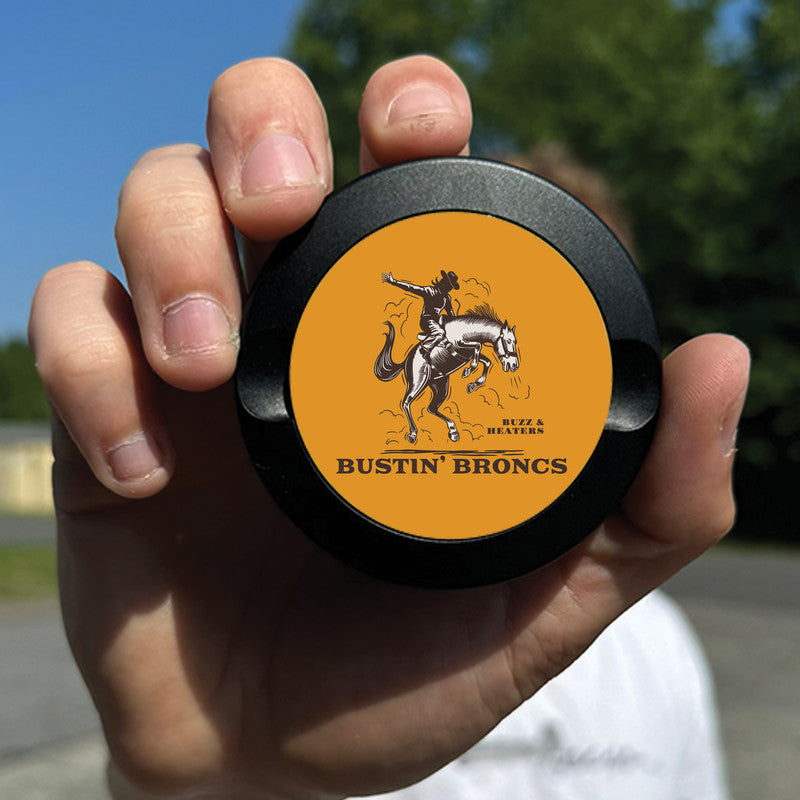 Bustin' Broncs