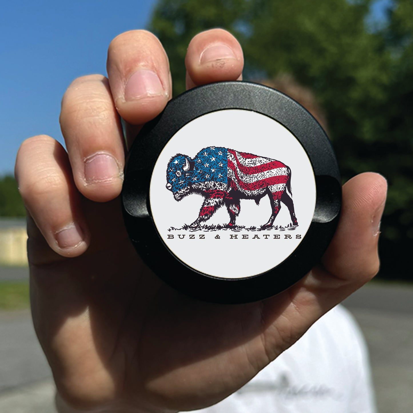 American Bison
