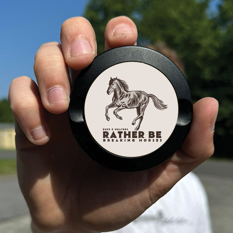 Breaking Horses