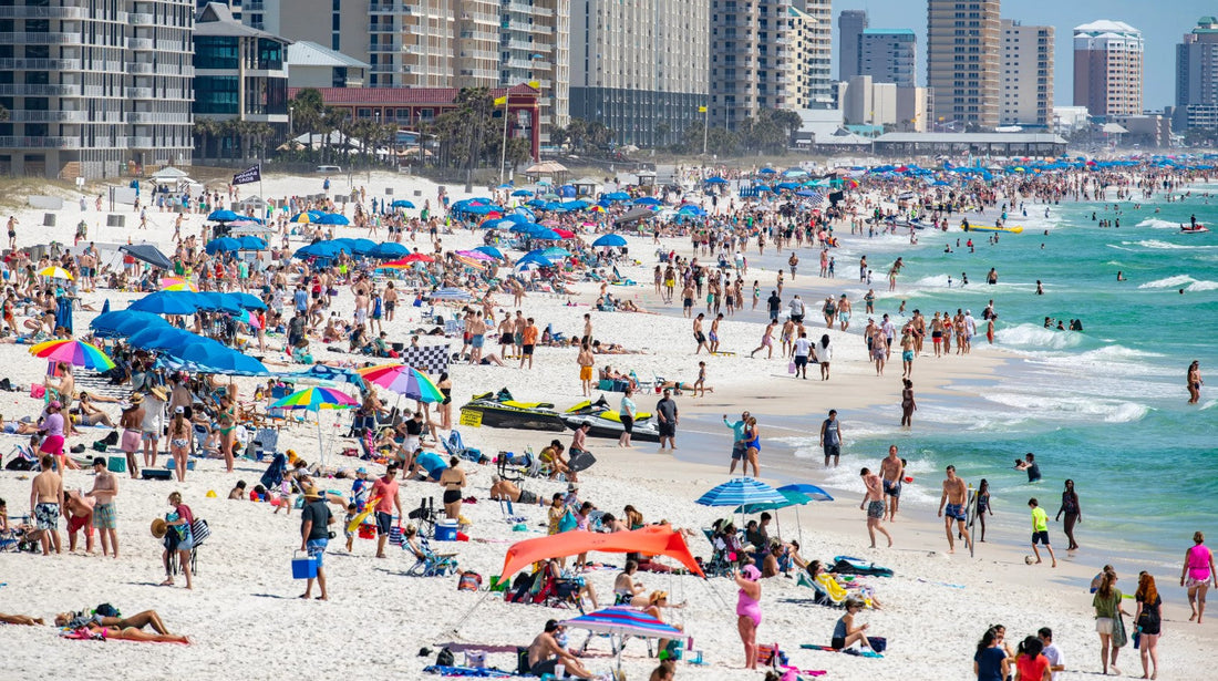 Spring Break Essentials [2025]: A Smarter Way to Stash Your Zyn