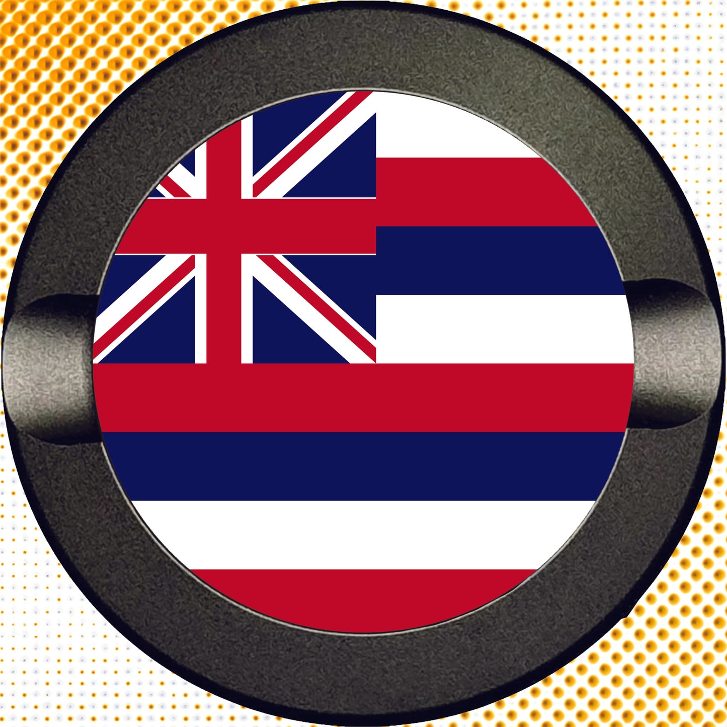 Hawaii State Flag