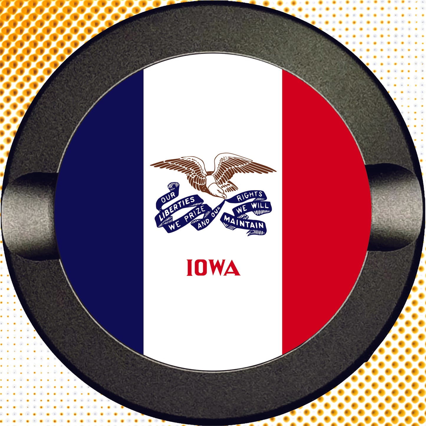 Iowa State Flag
