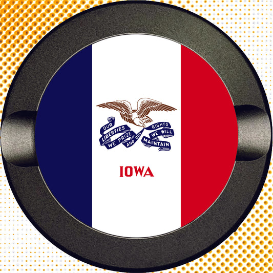Iowa State Flag