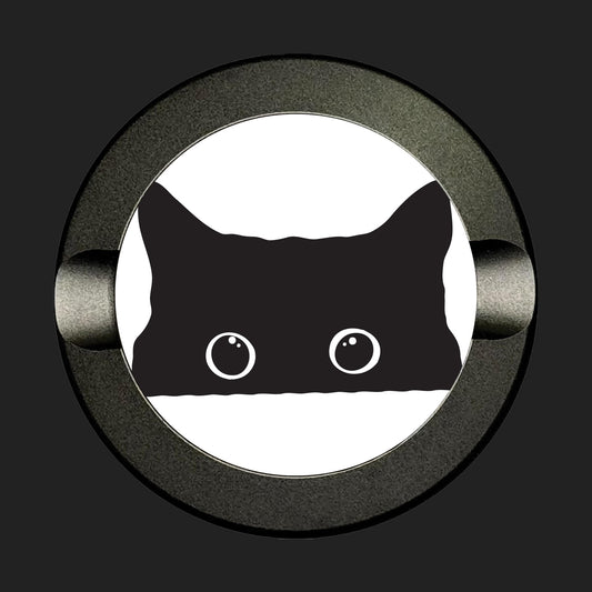 Peeking Cat