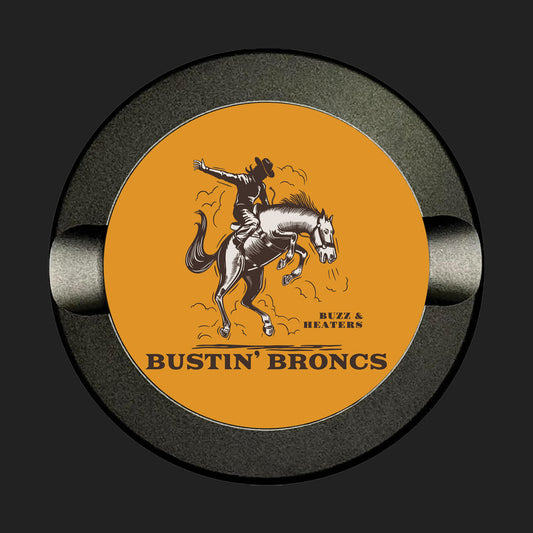 Bustin' Broncs