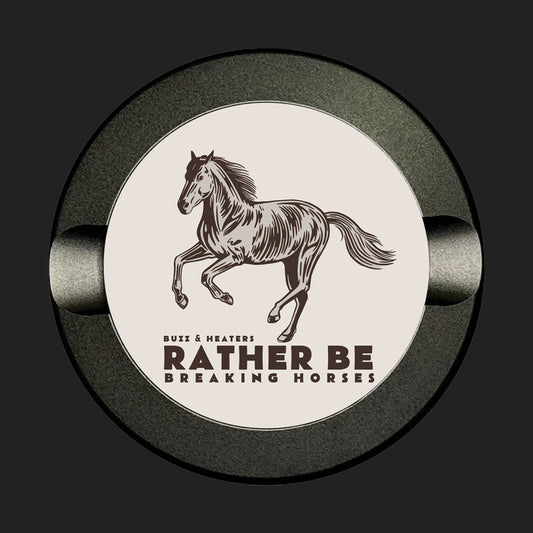 Breaking Horses
