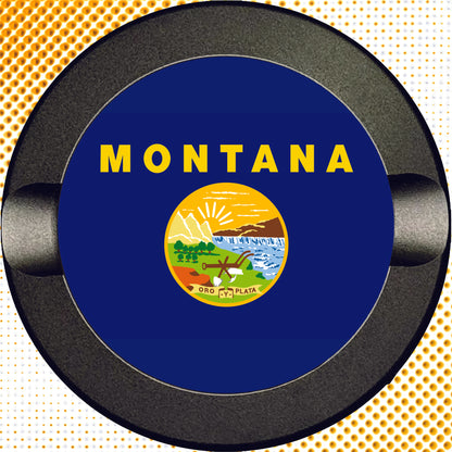 Montana State Flag